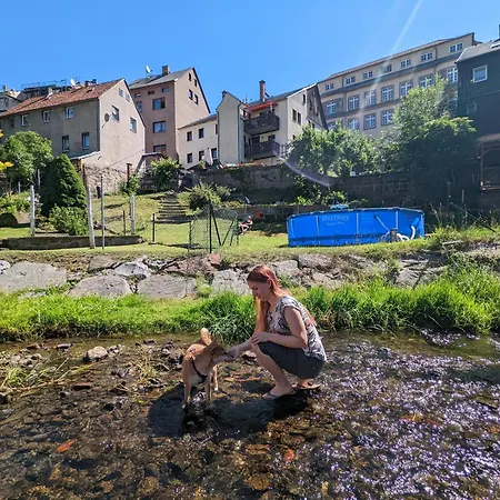 Urlaubsmagie - Farngruen - Sauna & Saisonaler Pool - F4 Appartement *